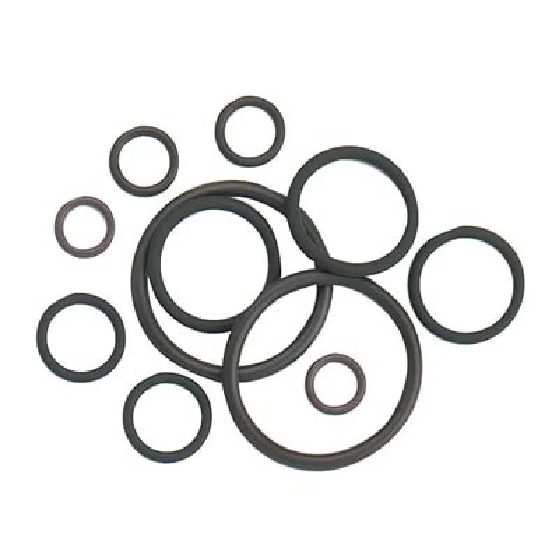 fassmotorsports123604838