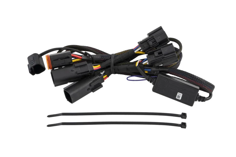 fassmotorsports23897179