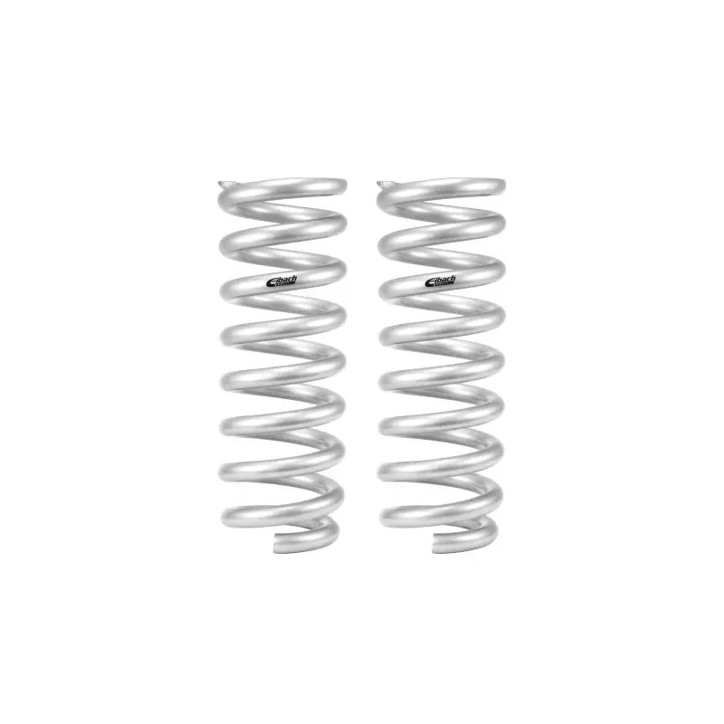 fasthemis13629040