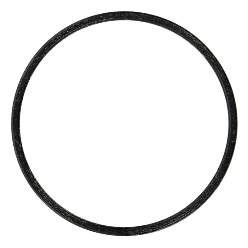 fasthemis33899918
